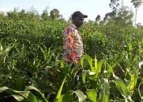 Listing image gallery