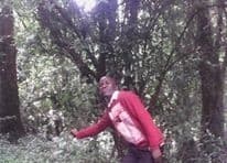 Listing image gallery