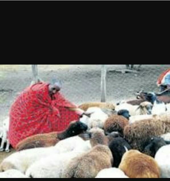 Listing image gallery