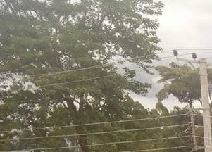 Listing image gallery