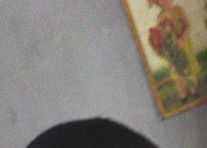 Listing image gallery