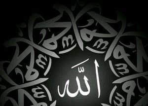 Listing image gallery