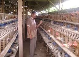 Listing image gallery