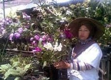 Listing image gallery