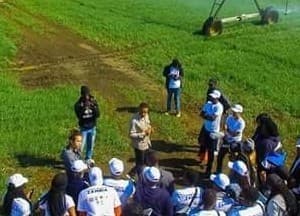 Listing image gallery