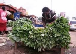 Listing image gallery