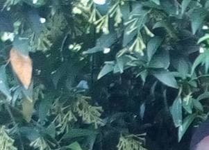 Listing image gallery