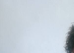 Listing image gallery