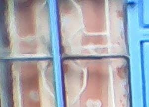 Listing image gallery