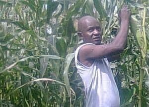 Listing image gallery