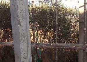 Listing image gallery