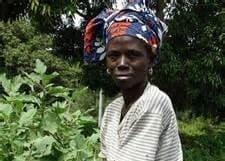 Listing image gallery