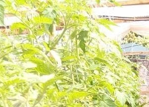 Listing image gallery