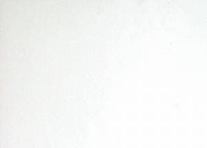 Listing image gallery