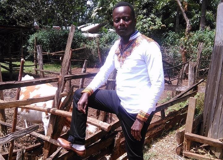 Listing image gallery