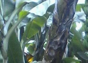 Listing image gallery