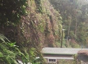 Listing image gallery