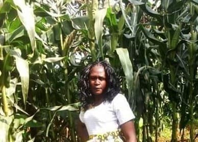 Listing image gallery