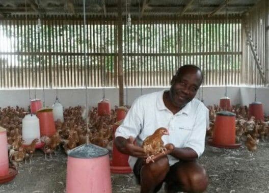 Listing image gallery