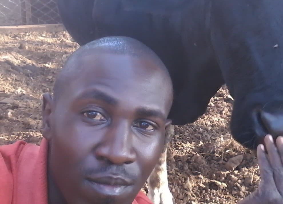 Listing image gallery