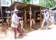 Kiptoo