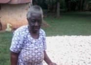 Listing image gallery