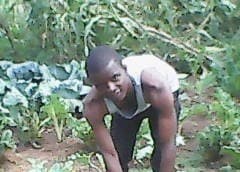 Listing image gallery