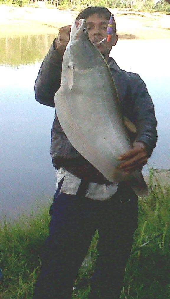 Listing image gallery