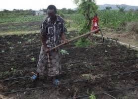 Listing image gallery